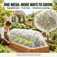 🥬 50 % DE RÉDUCTION MAINTENANT ! Filet de protection pour potager en maille fine et résistante – Protection et culture 2 en 1, barrière anti-insectes sans pesticides, laisse passer l'air et la lumière
