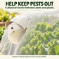 🥬 50 % DE RÉDUCTION MAINTENANT ! Filet de protection pour potager en maille fine et résistante – Protection et culture 2 en 1, barrière anti-insectes sans pesticides, laisse passer l'air et la lumière