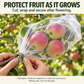 🥬 50 % DE RÉDUCTION MAINTENANT ! Filet de protection pour potager en maille fine et résistante – Protection et culture 2 en 1, barrière anti-insectes sans pesticides, laisse passer l'air et la lumière