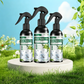 🥳Spray anti-acariens – À base de plantes, sans danger
