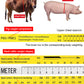 uban de mesure du poids des animaux pour bovins et porcins