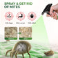 🥳Spray anti-acariens – À base de plantes, sans danger