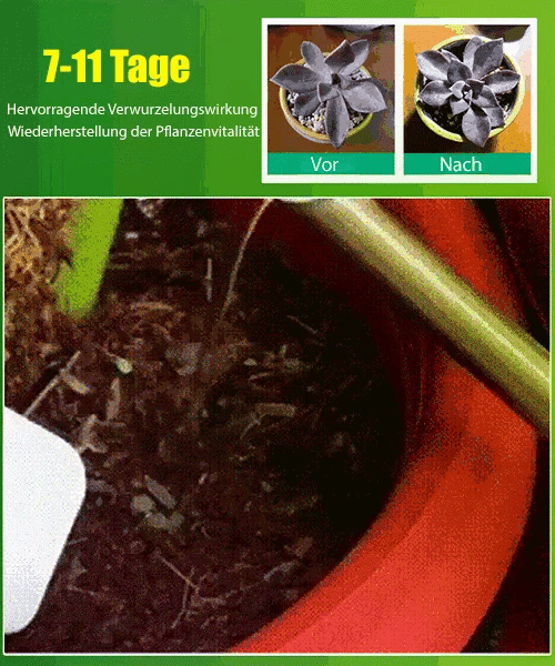 🌿🌱Achetez 3 pour 5 (8 bouteilles)🌼 Boostez Vos Plantes Et Vos Économies💧👑