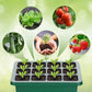 🔥50 % de réduction jusqu'à épuisement des stocks !🎉Plateaux de semis avec lampe de croissancele stocks last!🎉Seed starter trays with grow light