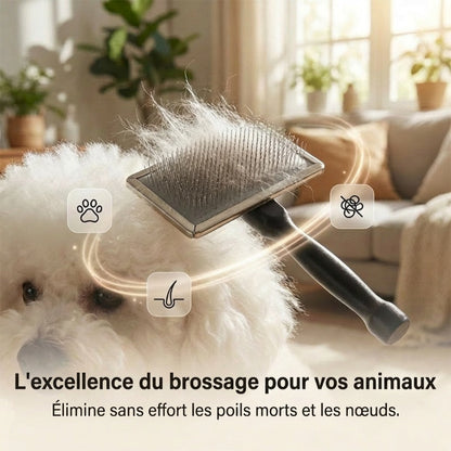 🐾 50 % DE RÉDUCTION MAINTENANT ! Peigne démêlant pour animaux en acier inoxydable – Démêlage et brossage 2 en 1, pour nœuds, bourres et poils emmêlés