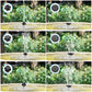 🔥Solar Powered Bird Bath Fountain - Floating Water Pump for Garden, Pond & Patio