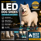 ✨️Superbe réduction de 50 % !🐕Indispensable pour les propriétaires d'animaux !🐶Protégez les pattes de votre animal de la saleté et évitez qu'il ne se perde !👟Chaussures pour chien en maille respirante avec design lumineux