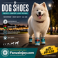 ✨️Superbe réduction de 50 % !🐕Indispensable pour les propriétaires d'animaux !🐶Protégez les pattes de votre animal de la saleté et évitez qu'il ne se perde !👟Chaussures pour chien en maille respirante avec design lumineux