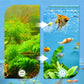 🐟💧 Achetez 1, obtenez 1 GRATUITEMENT ! Mousse filtrante 8D haute densité – Eau cristalline, poissons en pleine santé