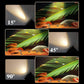 📢50% de réduction pour une durée limitée✨🪄 Projecteur LED zoomable pour aquarium 🪄