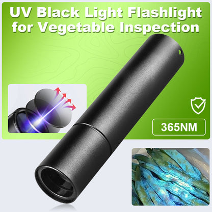 🌟 50% de réduction🔦🌿 Lampe UV à lumière noire pour inspection des légumes