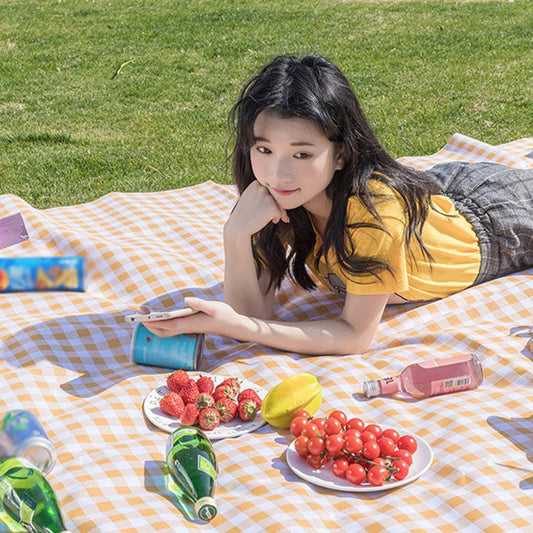 Plaids à grande couverture de pique-nique pliable étanche