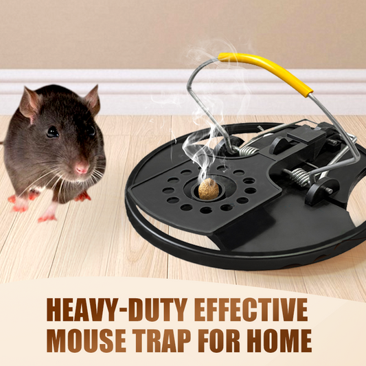 Piège de souris efficace en service lourd pour la maison