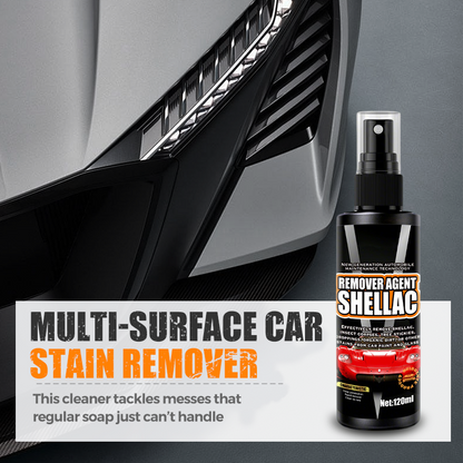 Paint-Safe Multi-Surface Car Stain Remover