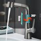 Robinet de Salle de Bain à 1 Trou avec Douchette Extractible