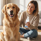 🐾 2 ACHETÉS, 1 OFFERT ! ✨ Mousse détartrante pour l'hygiène bucco-dentaire des animaux