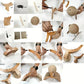 🐱 50% DE RÉDUCTION! 🧶 Boule à Gratter Naturelle en Sisal – Creuse, rotative & double face – Protège vos meubles tout en amusant votre chat 🌿