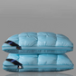 🛏️💤Oreiller Ergonomique Qualité Hôtel – Soutien Cervical Parfait, 8 Couleurs, 3 Hauteurs, Lavable, 48×74 cm