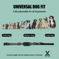 Collier de dressage pour chien à distance étanche avec vibrations et chocs