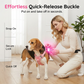 Harnais rembourré réglable pour chien avec laisse