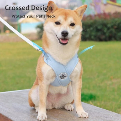 🥳SOLDES EXCEPTIONNELLES 2026🥳💞PLUS DE 50 000 EXEMPLAIRES VENDUS !👵  Kit harnais anti-traction en X pour chien avec laisse
