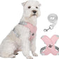 🥳SOLDES EXCEPTIONNELLES 2026🥳💞PLUS DE 50 000 EXEMPLAIRES VENDUS !👵  Kit harnais anti-traction en X pour chien avec laisse
