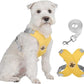 🥳SOLDES EXCEPTIONNELLES 2026🥳💞PLUS DE 50 000 EXEMPLAIRES VENDUS !👵  Kit harnais anti-traction en X pour chien avec laisse