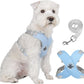 🥳SOLDES EXCEPTIONNELLES 2026🥳💞PLUS DE 50 000 EXEMPLAIRES VENDUS !👵  Kit harnais anti-traction en X pour chien avec laisse