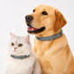 Colliers anti-puces et anti-tiques ajustables pour chiens et chats