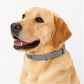Colliers anti-puces et anti-tiques ajustables pour chiens et chats