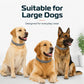Colliers anti-puces et anti-tiques ajustables pour chiens et chats