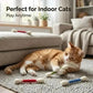 🔥 50 % DE RÉDUCTION AUJOURD'HUI ! 🐱 Jouet interactif avec tige et herbe à chat pour chats