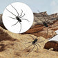🎉🕷️ Aimants araignées réalistes – Décorez votre frigo, votre garage et votre voiture avec des bonbons ou un sort – Amusez-vous pour Halloween toute l'année ! 🏠
