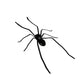 🎉🕷️ Aimants araignées réalistes – Décorez votre frigo, votre garage et votre voiture avec des bonbons ou un sort – Amusez-vous pour Halloween toute l'année ! 🏠