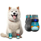 ✨️Superbe réduction de 50 % !🐕Indispensable pour les propriétaires d'animaux !🐶Protégez les pattes de votre animal de la saleté et évitez qu'il ne se perde !👟Chaussures pour chien en maille respirante avec design lumineux