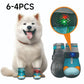 ✨️Superbe réduction de 50 % !🐕Indispensable pour les propriétaires d'animaux !🐶Protégez les pattes de votre animal de la saleté et évitez qu'il ne se perde !👟Chaussures pour chien en maille respirante avec design lumineux