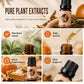 Coffret d'huiles essentielles parfumées pour Halloween