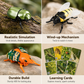 Ensemble de jeu de simulation d'insecte ailé à remontoir avec cartes éducatives
