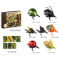Ensemble de jeu de simulation d'insecte ailé à remontoir avec cartes éducatives