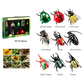 Ensemble de jeu de simulation d'insecte ailé à remontoir avec cartes éducatives