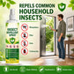 Spray répulsif anti-insectes à base de plantes