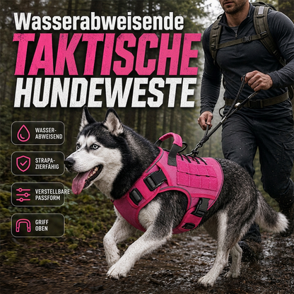 🐕 50 % DE RÉDUCTION MAINTENANT ! Laisse anti-traction pour chien en sangle renforcée – Absorption et confort 2 en 1, réduit les à-coups et la traction, sans douleur pour vous ni pour le chien