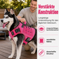 🐕 50 % DE RÉDUCTION MAINTENANT ! Laisse anti-traction pour chien en sangle renforcée – Absorption et confort 2 en 1, réduit les à-coups et la traction, sans douleur pour vous ni pour le chien