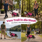 🐕 50 % DE RÉDUCTION MAINTENANT ! Laisse anti-traction pour chien en sangle renforcée – Absorption et confort 2 en 1, réduit les à-coups et la traction, sans douleur pour vous ni pour le chien