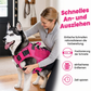 🐕 50 % DE RÉDUCTION MAINTENANT ! Laisse anti-traction pour chien en sangle renforcée – Absorption et confort 2 en 1, réduit les à-coups et la traction, sans douleur pour vous ni pour le chien