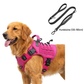 🐕 50 % DE RÉDUCTION MAINTENANT ! Laisse anti-traction pour chien en sangle renforcée – Absorption et confort 2 en 1, réduit les à-coups et la traction, sans douleur pour vous ni pour le chien