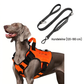 🐕 50 % DE RÉDUCTION MAINTENANT ! Laisse anti-traction pour chien en sangle renforcée – Absorption et confort 2 en 1, réduit les à-coups et la traction, sans douleur pour vous ni pour le chien