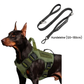 🐕 50 % DE RÉDUCTION MAINTENANT ! Laisse anti-traction pour chien en sangle renforcée – Absorption et confort 2 en 1, réduit les à-coups et la traction, sans douleur pour vous ni pour le chien