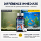 Comprimés professionnels de purification d'eau pour aquarium