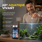 Comprimés professionnels de purification d'eau pour aquarium
